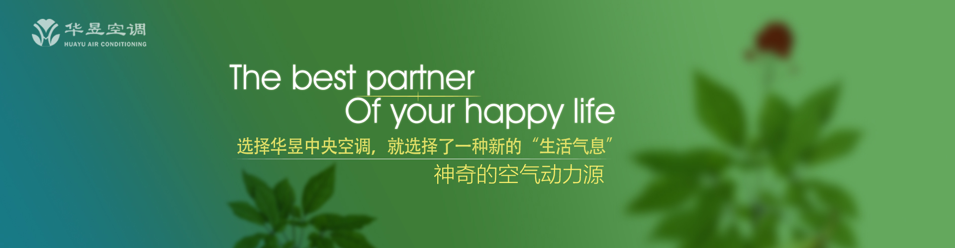 变色之言网